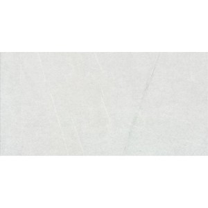 Gạch ốp tường Trường Thịnh COOLSTONE C36103